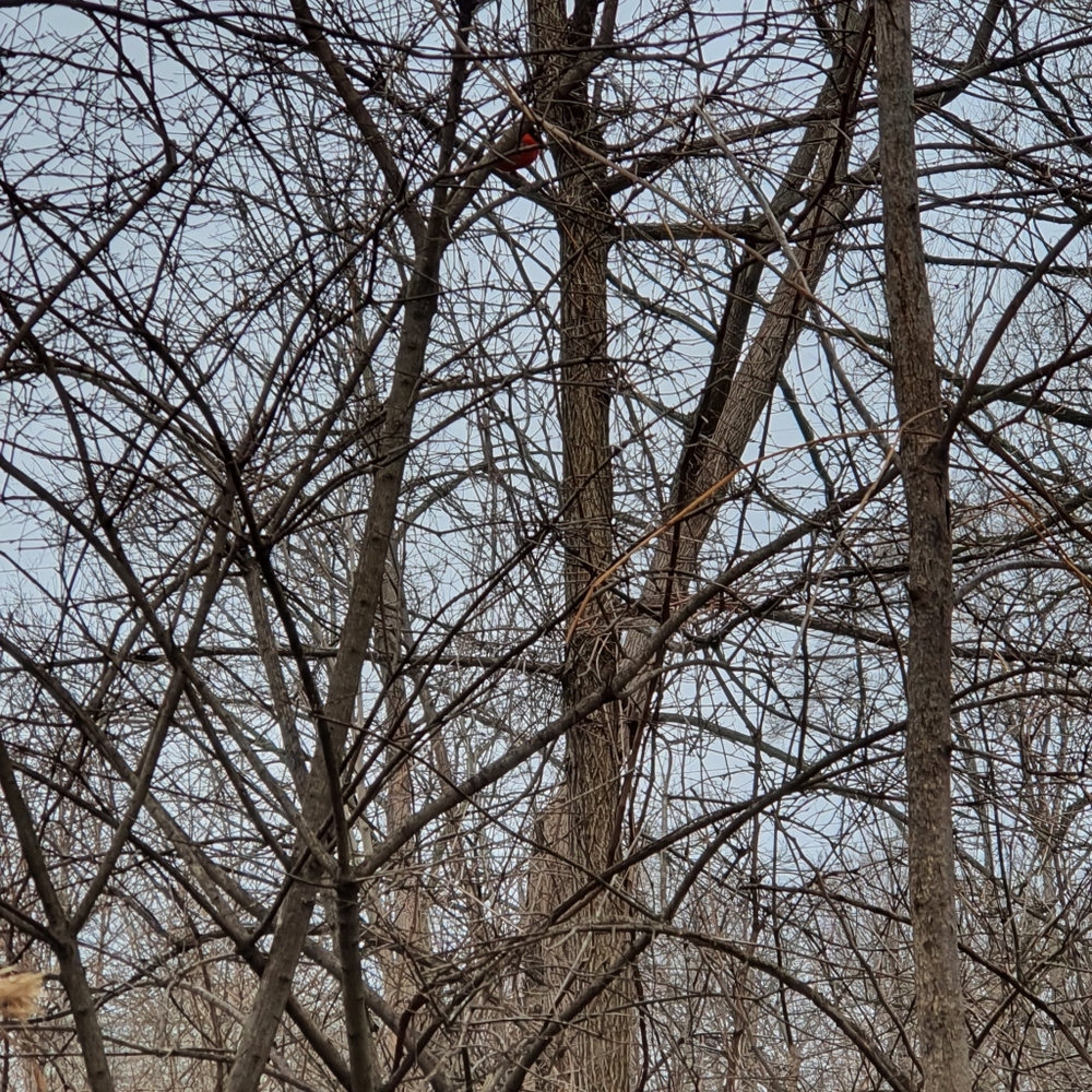 Meet your Posher, SX